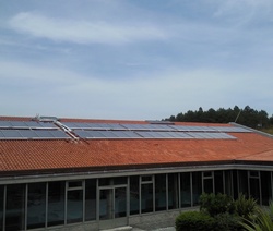 Inelsa contribuye al cultivo de alevines con energ&iacute;a solar