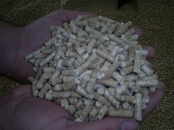 5&ordf; Jornada &ldquo;Log&iacute;stica, preparaci&oacute;n y suministro de biomasa para usos energ&eacute;ticos&rdquo;