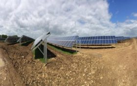 Tamesol finaliza la primera fase de su proyecto estrella