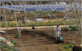 La energía solar como fuente de energías renovables para la agricultura