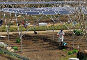 La energía solar como fuente de energías renovables para la agricultura