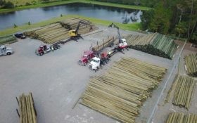 Florida Power & Light Company