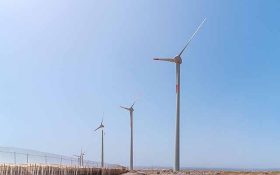 Ecoener pone en marcha en Gran Canaria el parque eólico La Caleta con un sistema pionero para preservar la avifauna local