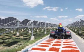 Solución fotovoltaica inteligente: infusión de vida en un paisaje desértico