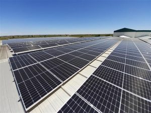 Alterna Energía construye dos instalaciones fotovoltaicas en Extremadura para Vegenat, empresa líder en la industria alimentaria