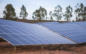 La planta fotovoltaica de Andévalo es el primer proyecto construido que obtiene el Certificado UNEF de Excelencia para la Sostenibilidad y la conservación de la Biodiversidad