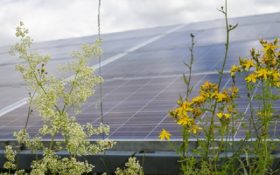 BayWa r.e. Solar Farm