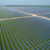 Atlas Renewable Energy’s La Pimienta Solar Plant in Campeche, Mexico