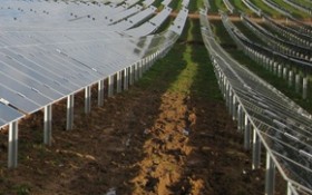 Conergy construye la tercera mayor planta del mundo con m&oacute;dulos de capa fina