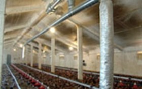 AireSolar pone en marcha un sistema jumbo solar en granja av&iacute;cola