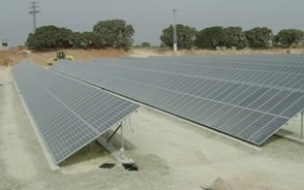 Martifer Solar reforesta sus plantas solares fotovoltaicas