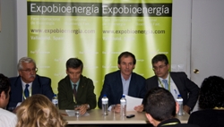 bioenergía forestal tiene una oferta para los ciudadanos: generar empleo