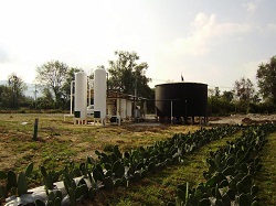 Elqui Global diseña y construye plantas de proceso de biogas del nopal, un biocombustible desconocido