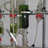 El Proyect ENERGREEN trata de lograr la eficiencia en el cultivo de Microalgas