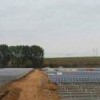 Gehrlicher Solar AG construirá su primera planta solar en Rumanía de 9 MW