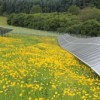 Conergy concluye la planta Stadtwerke Heidelberg en un antiguo vertedero de Alemania
