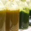 El proyecto Energreen identifica estrategias de cultivo de microalgas más eficientes para producir biodiésel