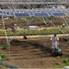 La energía solar como fuente de energías renovables para la agricultura