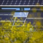 La planta fotovoltaica de Campos Salados suministrará energía a más de 30.000 hogares