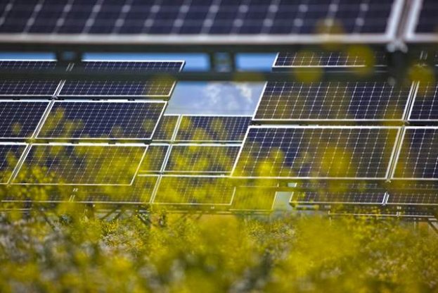 La planta fotovoltaica de Campos Salados suministrará energía a más de 30.000 hogares