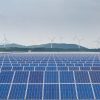 La producción renovable cae un 3% en el segundo trimestre por la bajada de la eólica EOLICA